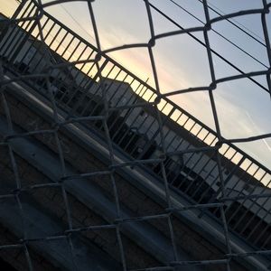 Meet your Posher, Daisy